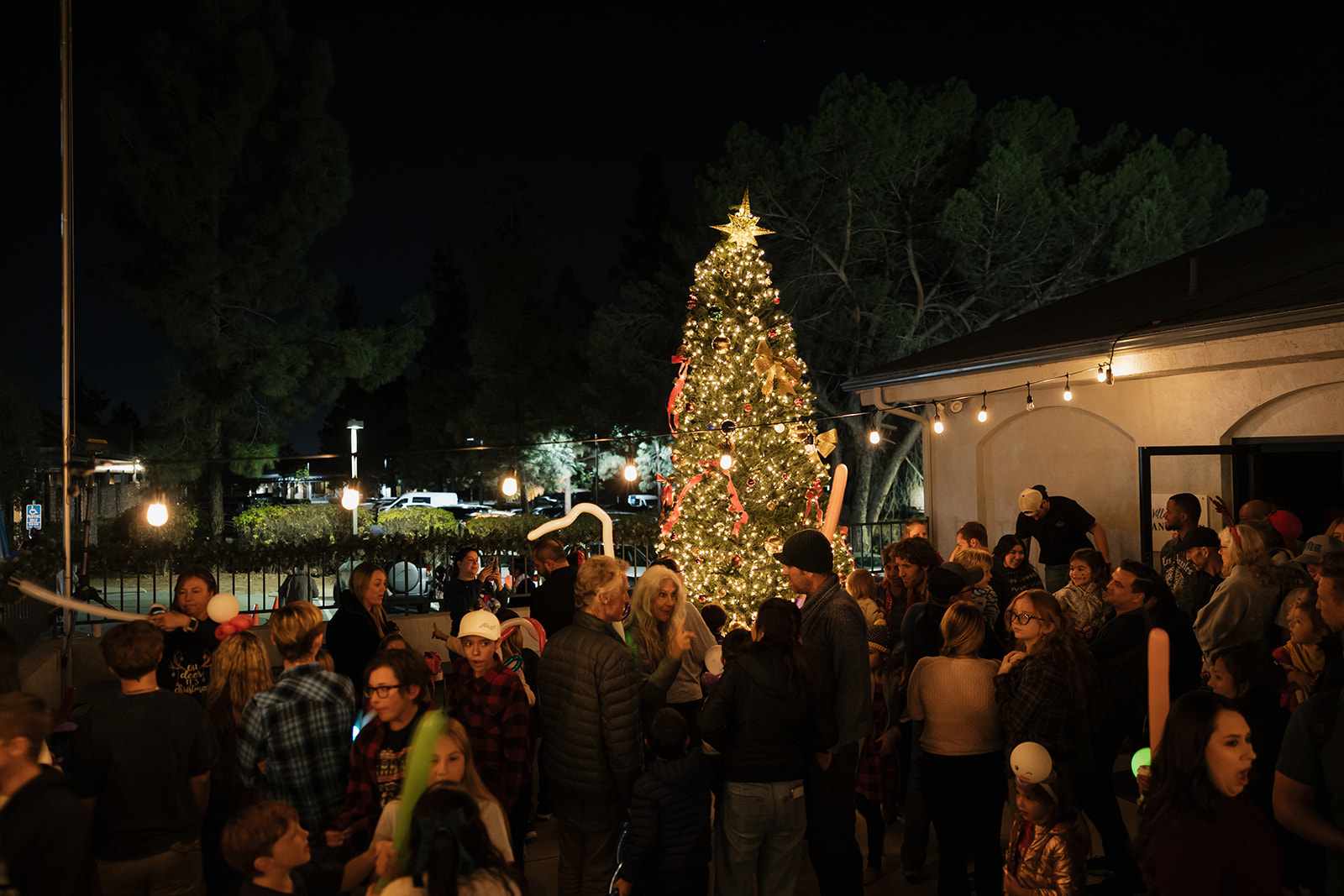 Christmas Tree Lighting